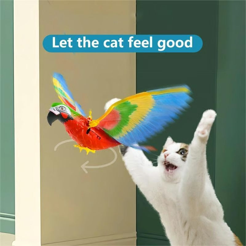 PET SUPPLIES